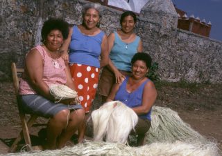 Familia Villajuana, Fibras vegetales